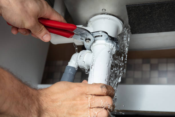 Best Water damage cleanup near me  in Dormont, PA