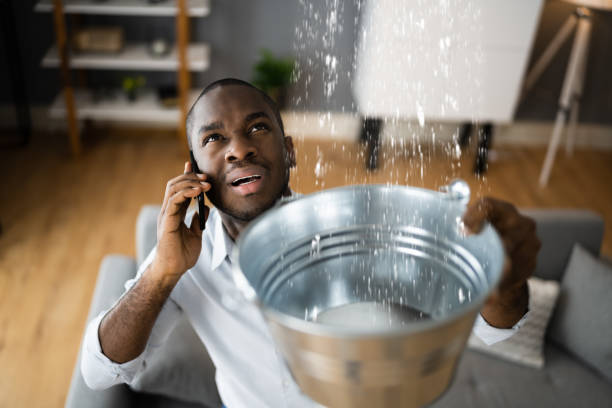 Best Water damage contractors near me  in Dormont, PA