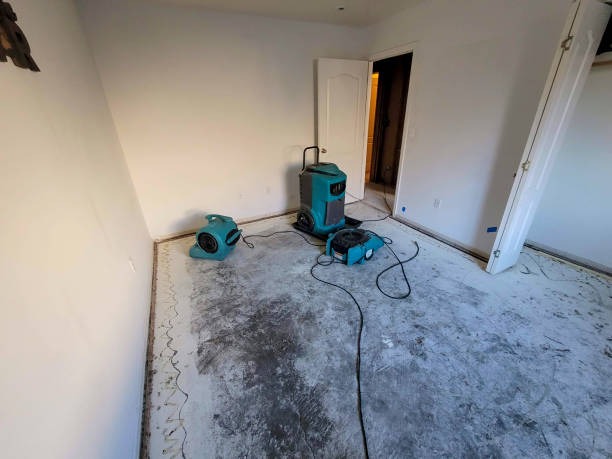 Best Flood restoration services  in Dormont, PA