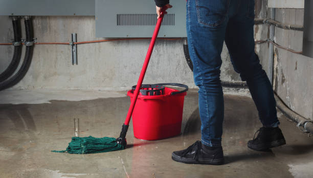 Best Water damage mitigation services  in Dormont, PA