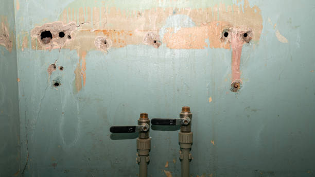 Best Basement water damage restoration  in Dormont, PA