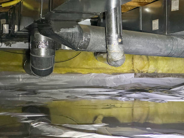 Best Mold removal after water damage  in Dormont, PA
