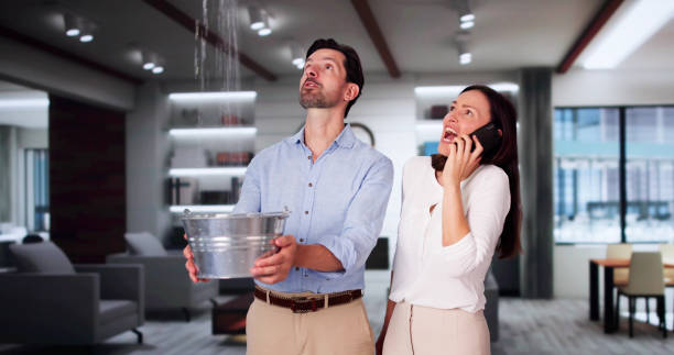 Best Flood damage cleanup  in Dormont, PA